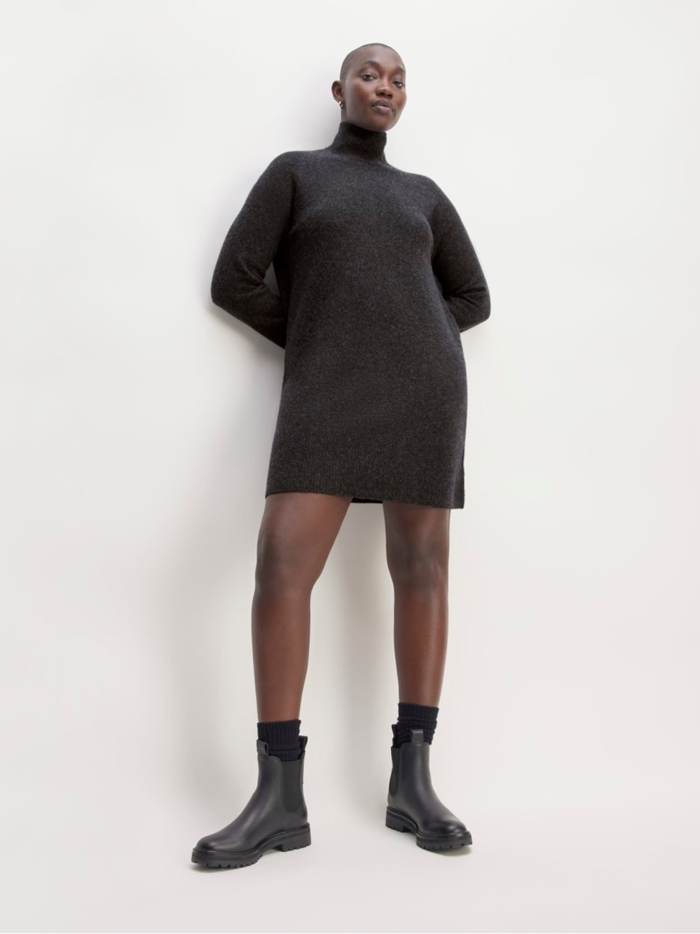 Everlane The Cozy Turtleneck Sweater Dress
